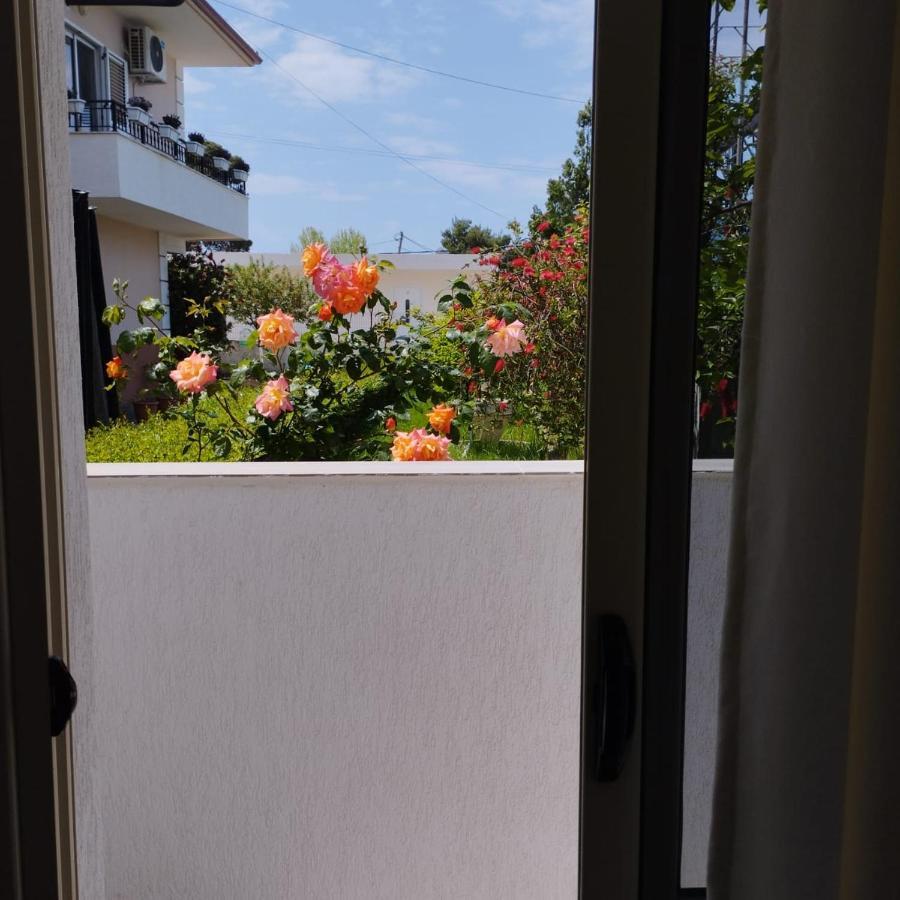 Belka Studios Vlorë 외부 사진